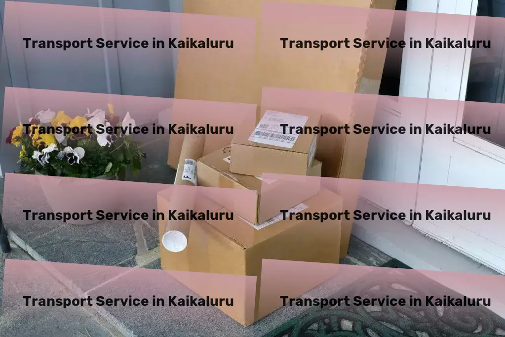 Courier And Parcel in Kaikaluru, Andhra Pradesh (AP) Long-distance logistics services