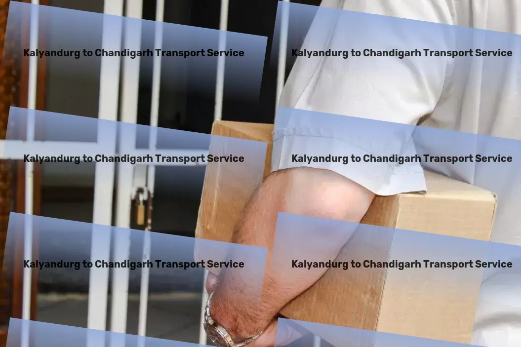 Kalyandurg to Chandigarh Household Goods Transport Expedited road transport